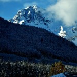 joffre