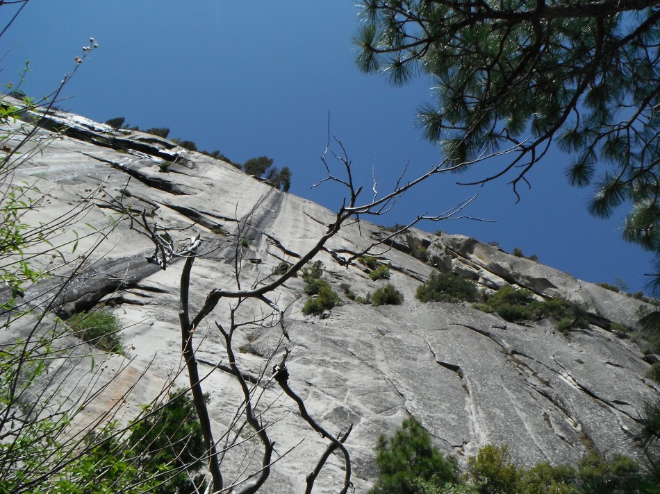 Yosemite 005